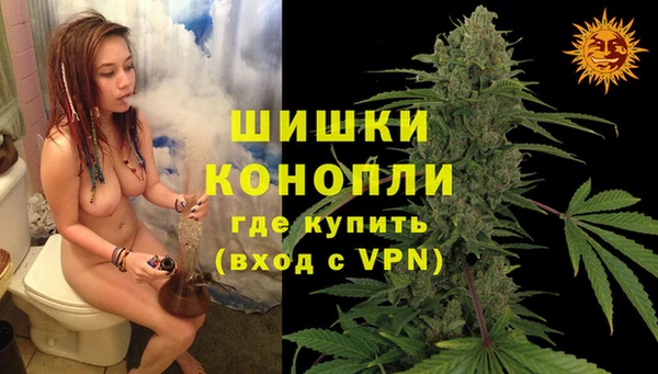 прущие грибы Белоозёрский