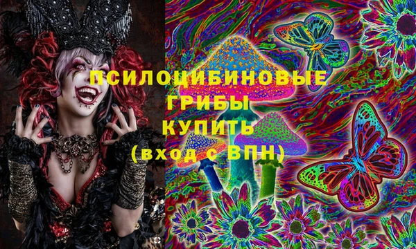 прущие грибы Белоозёрский
